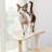 Overlooking Wooden 5-Level Indoor Cat Tower