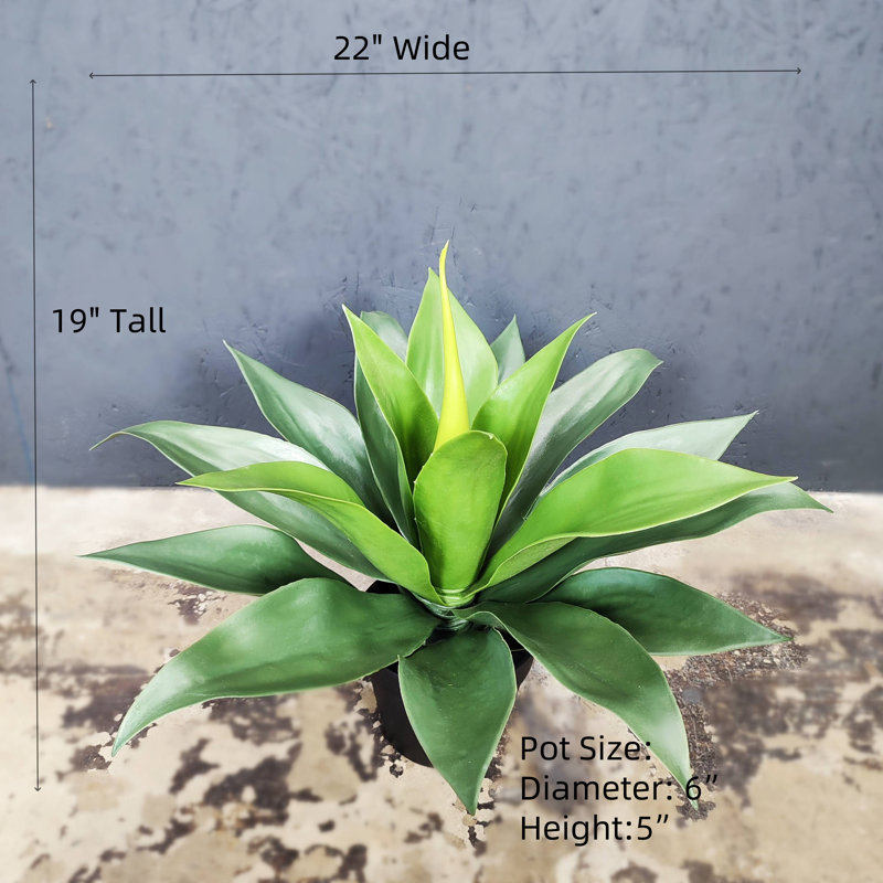 Agave artificielle Sansevieria