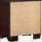 Copper Dark Cocoa 2-Drawer Rectangular Nightstand