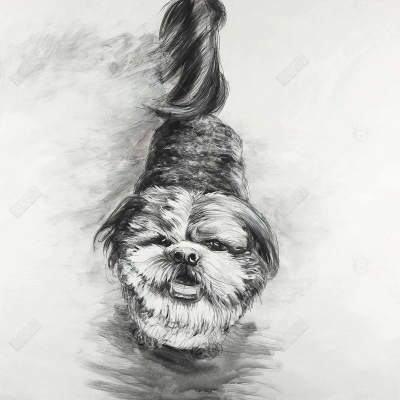 Croquis de chien heureux | Décor de toile encadrée blanc animaux de compagnie, 25.25" H x 25.25" W