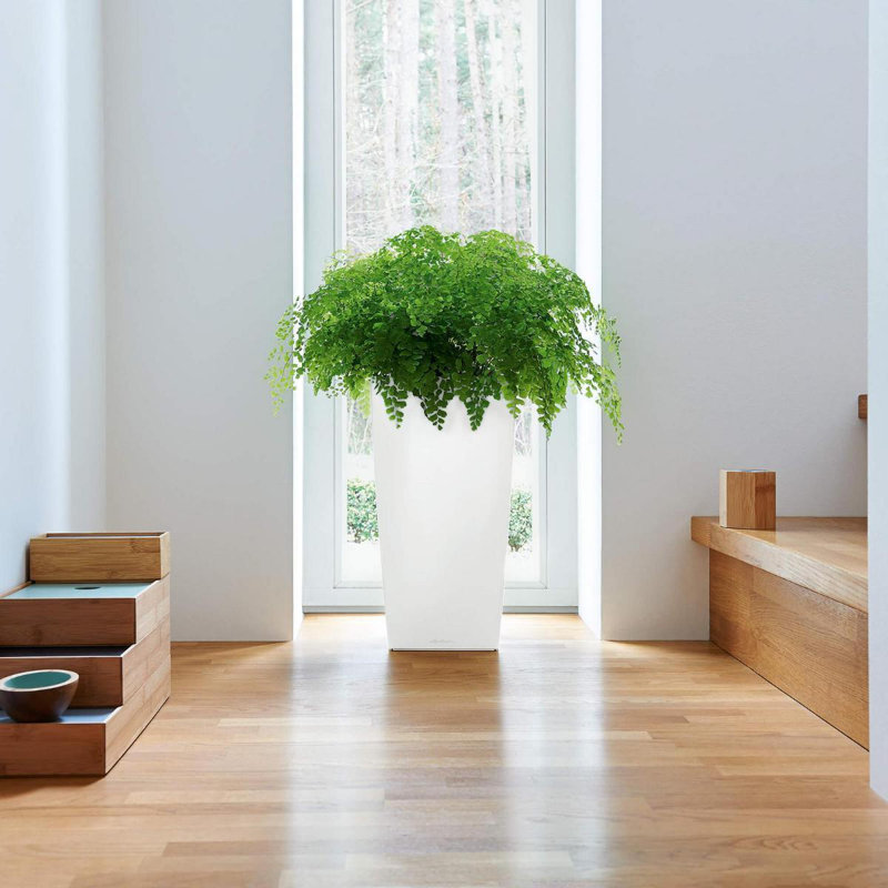 Cubico Planter Box, Cream White, 41 cm H x 22 cm W x 22 cm D