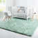 Indoor Rug