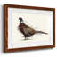 Pheasant Splash 1-1796011503-1796011502
