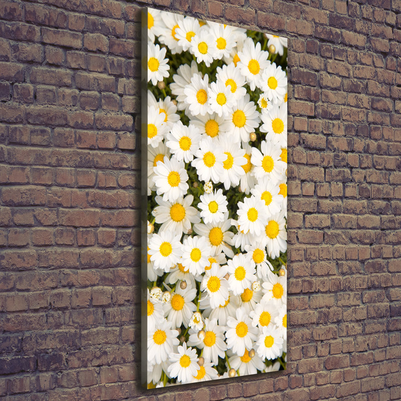 Daisy Flowers - Wrapped Canvas Print
