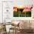 Alvord Cow Sunrise-107996577