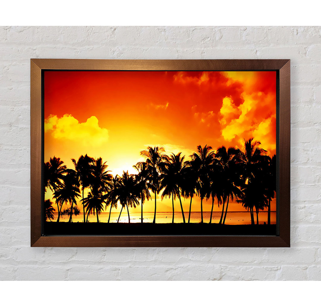 Orange Palm Tree Sunset Gerahmter Druck