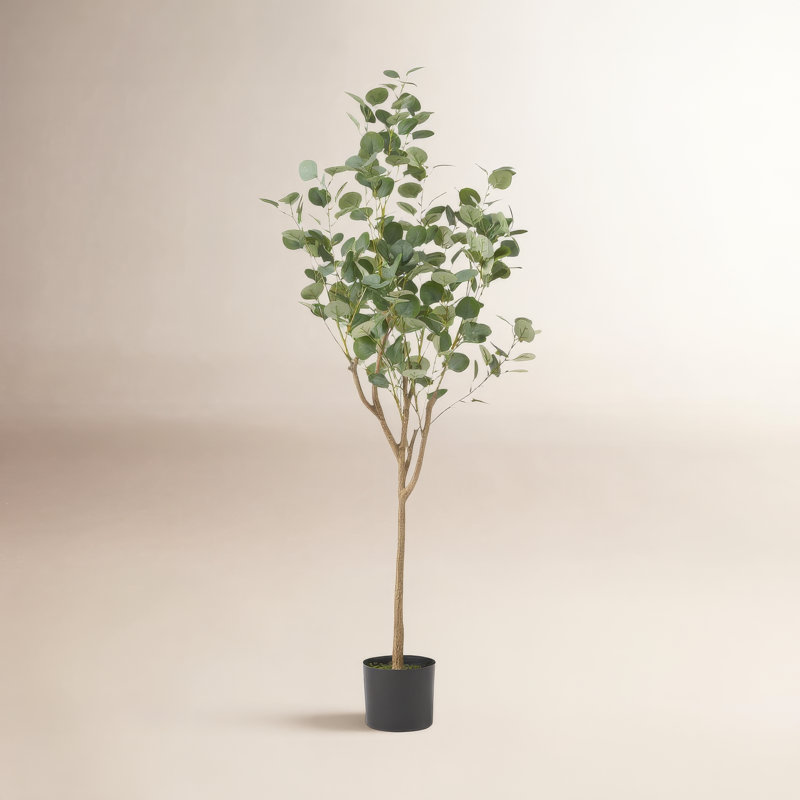 Eucalyptus artificiel Aanya en pot, H 59 po x l 23 po x P 23 po