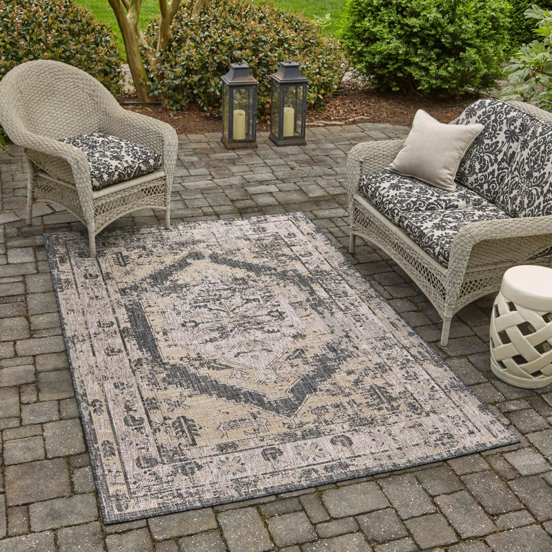 Susan Oriental Indoor / Outdoor Rug, Rectangle 7' x 10'