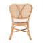 Dining Chair(Only Dining Chairs)