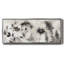 Misty Wildflower Morning - toile encadrée