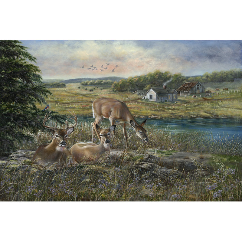 Evening Shadows by Carolyn Mock - Wrapped Canvas Painting, 30cm H x 46cm W x 3.8cm D