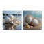 Photographie de coquillage blanc minimal - ensemble de 2 verres de coquillage en acrylique-898354310