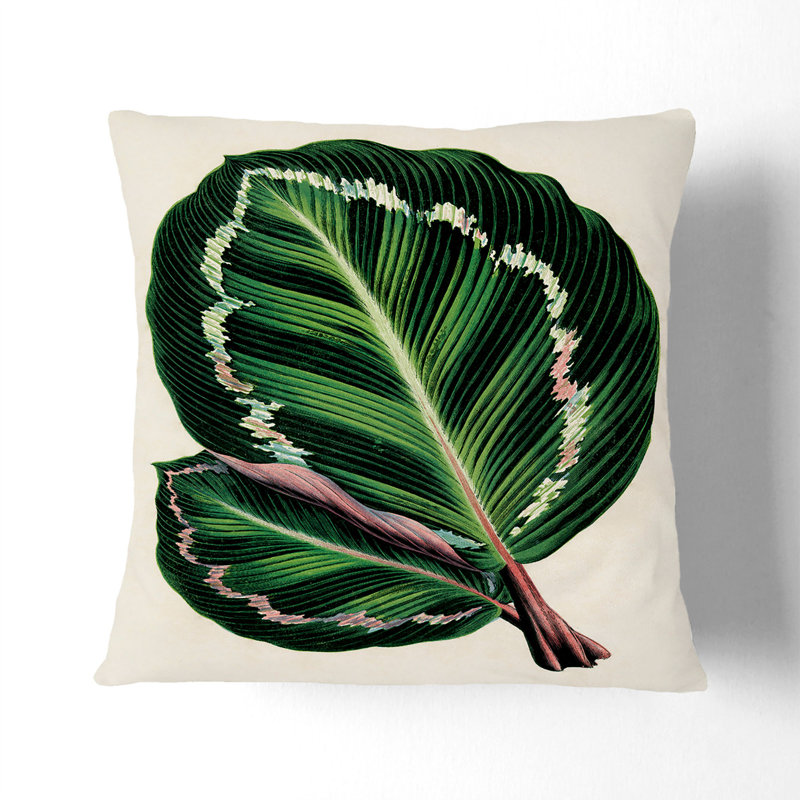 Square Throw Cushion, Stone, 55cm H x 55cm W x 20cm D
