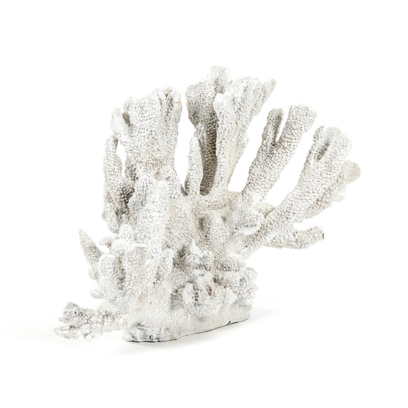 Statue corail Yardley