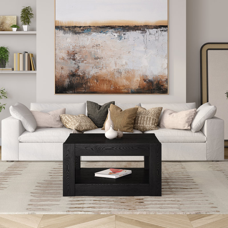 Ashantia Frame Coffee Table with Storage, Black Grain