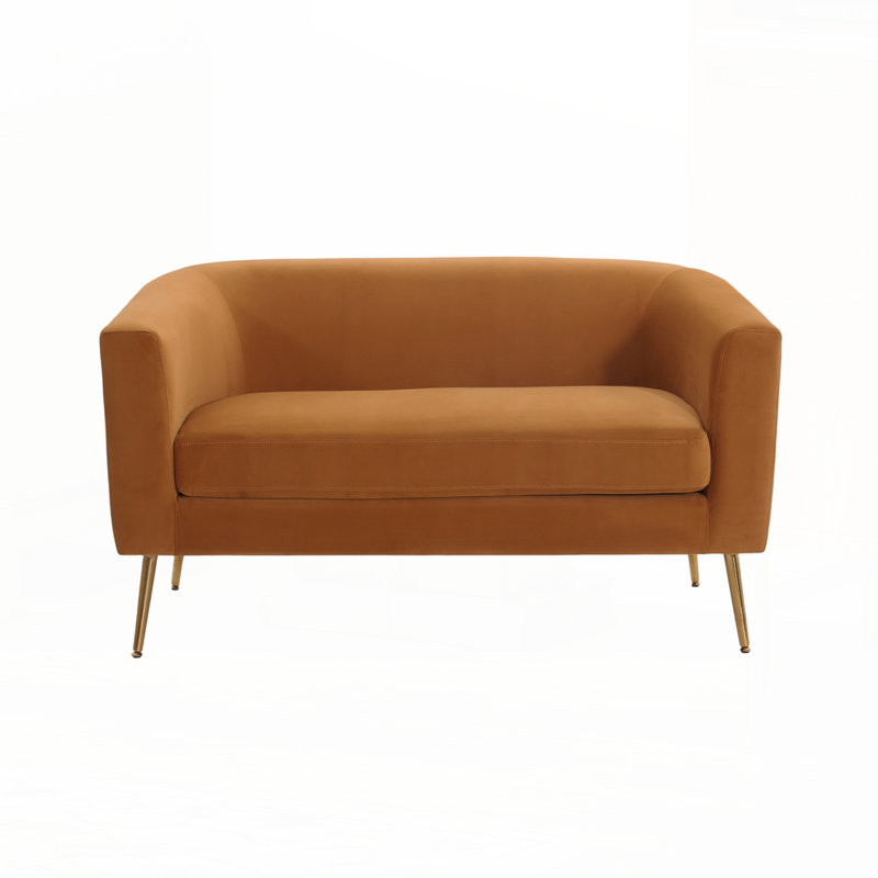 Causeuse moderne en velours, Brun, Doré