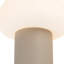 Lampe portable d'extérieur à DEL à intensité variable 8 po Shilo-368223399