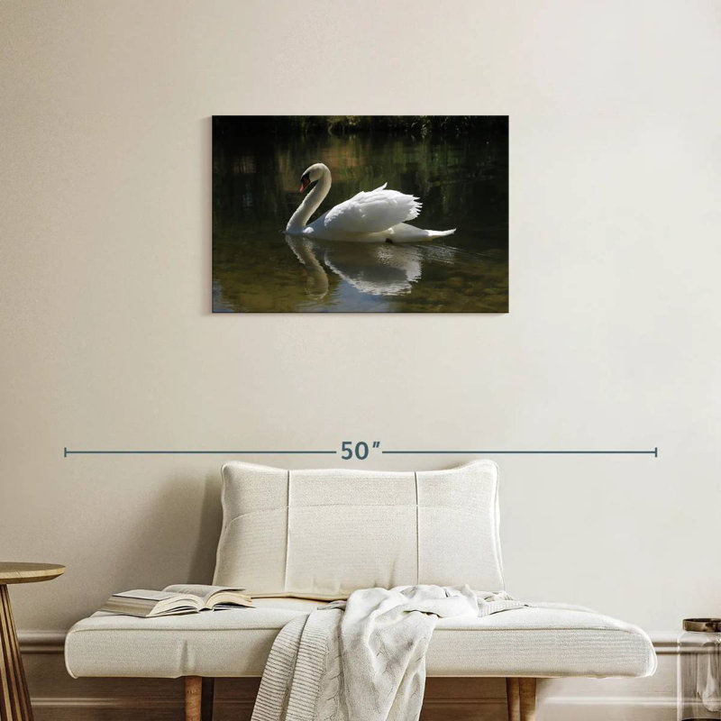 Swan Lake Reflection, 20" H x 30" W