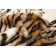 Hollin Cowhide Animal Print Indoor Rug
