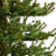 Green Pine Artificial Christmas Tree-750295500-780217499