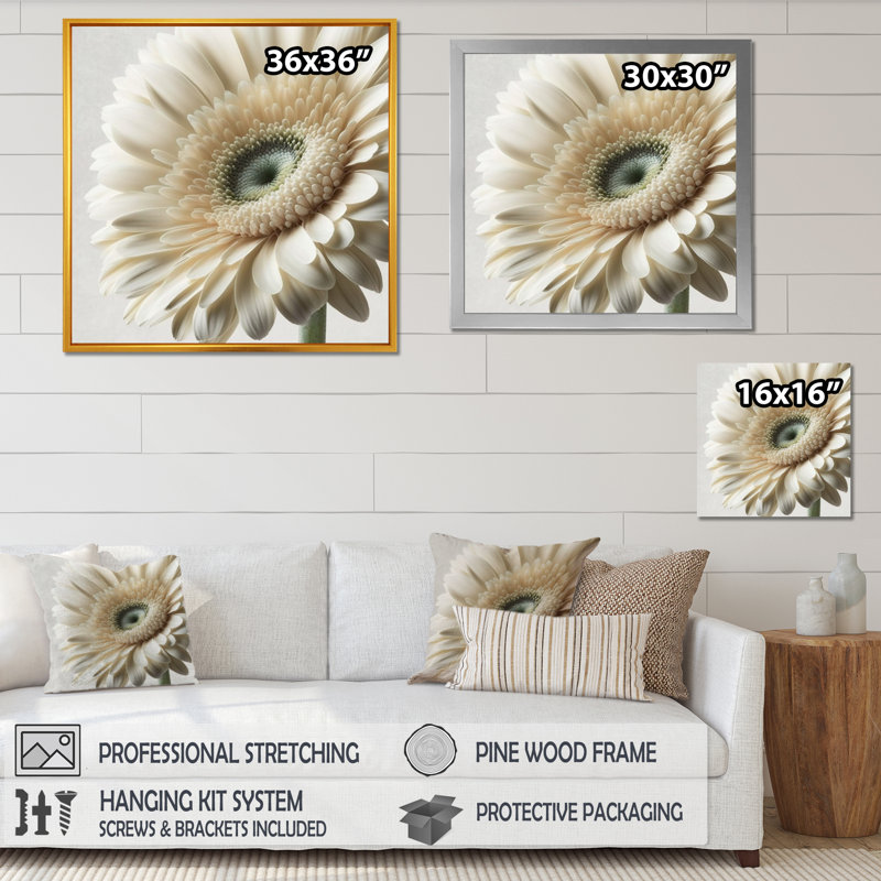 Gerbera blanche III - art mural Gerbera, H 24 po x l 24 po, Toile tendue
