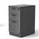 Negin 15.67'' Wide 3 -Drawer File Cabinet