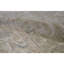 Ziegler Wool Oriental Area Rug