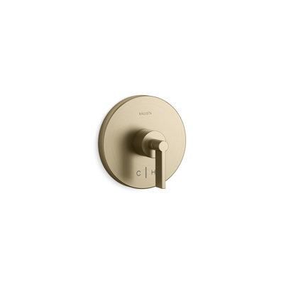 One™ Thermostatic Trim, Lever Handles