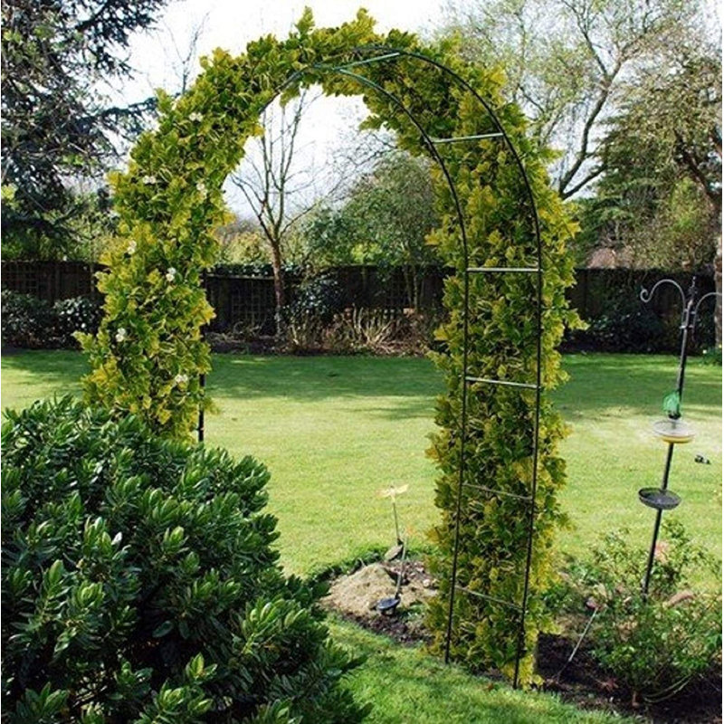 Hafner 240cm H x 140cm W Metal Arched Trellis