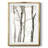 Shadowed Tree Trunks I -Framed Print