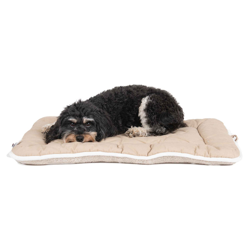 Coussin en toile de coton DGS Pet Products, Sable, Grand (l 36 po x P 15 po x H 1 po)
