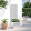 Planter Box-1488581414-1488581415
