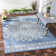 Ryleigh Performance Oriental Indoor/Outdoor Area Rug