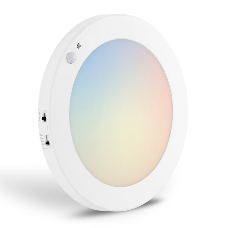 LED Flush Mount