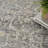 Rectangle Griagal Oriental Power Loomed Area Rug in Gray/Tan-1207700372