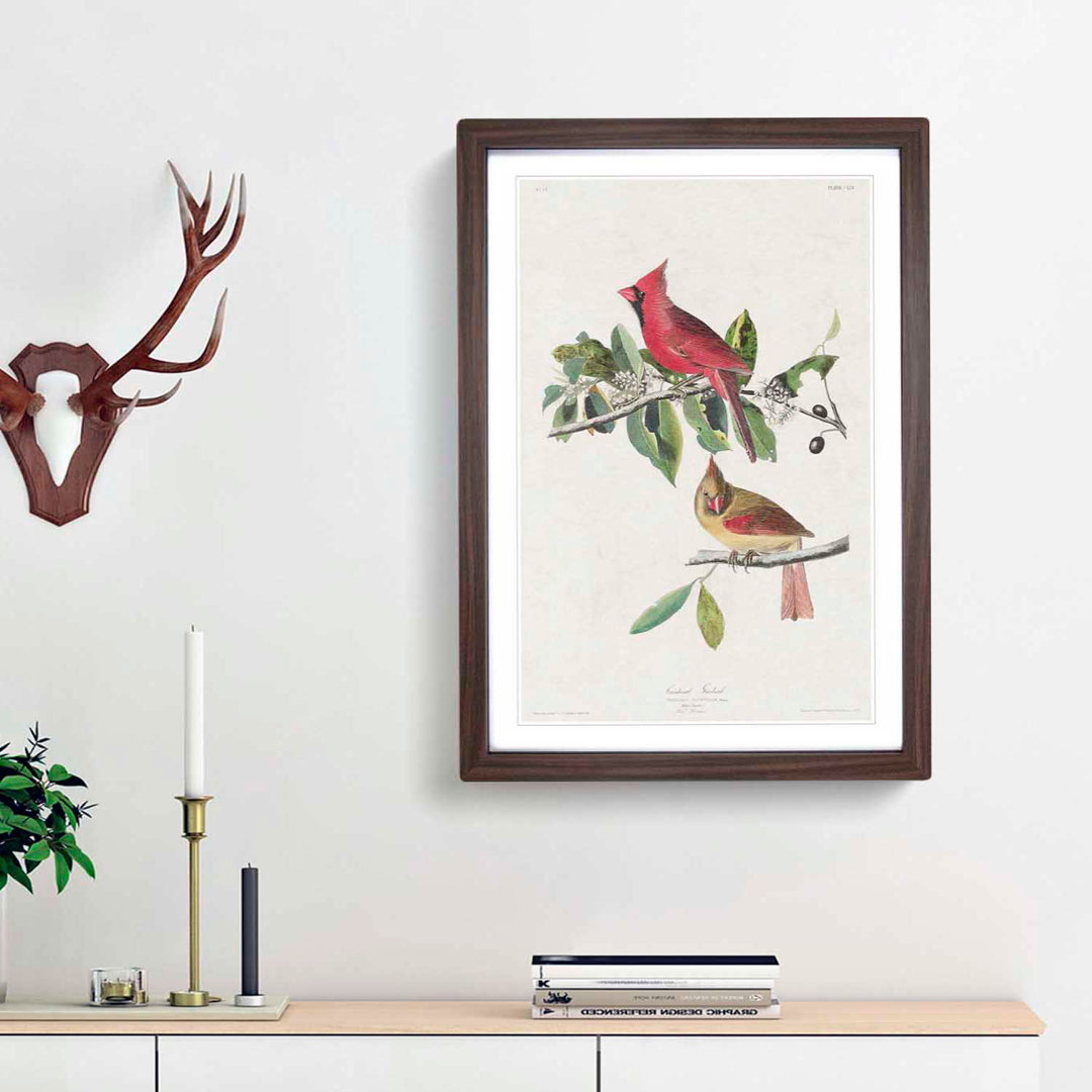 Cardinal Grosbeak Birds by John Audubon - Picture Frame Painting Print