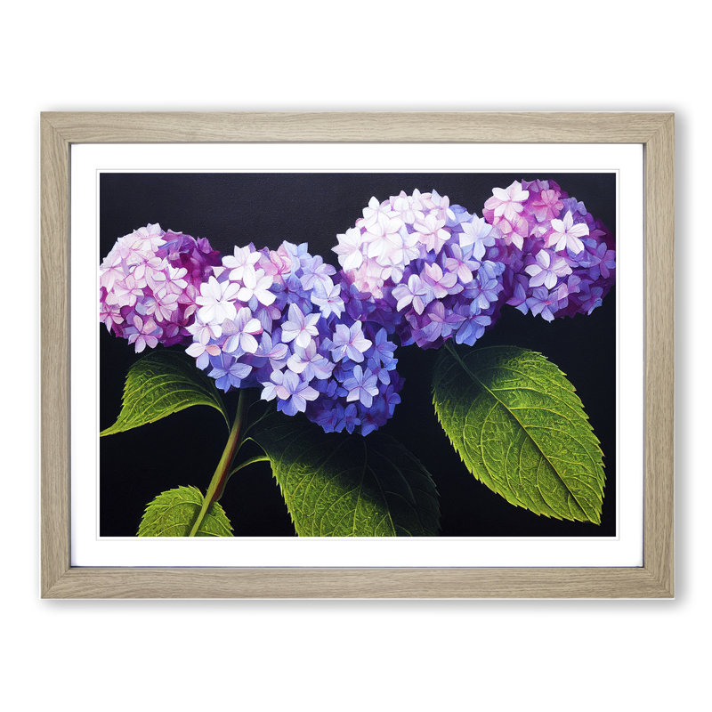 Hydrangea Flower View Vol.2 1 Piece Single Picture Frame Wall Art, 34cm H x 46cm W x 2cm D, Oak