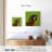 Brampt Macaw Bird Head-109376924