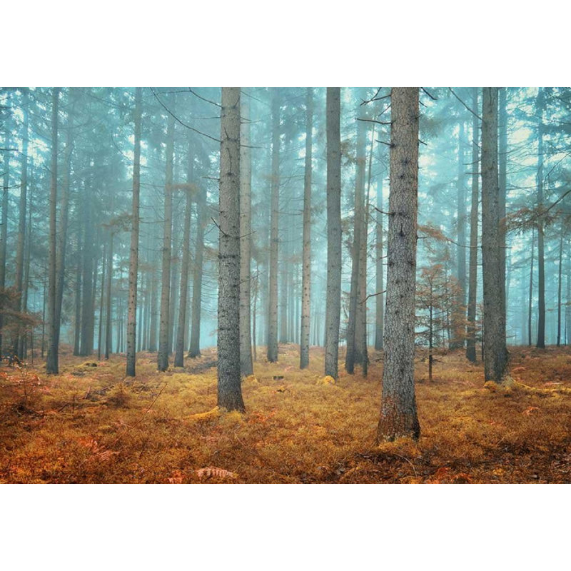 Murale forêt d'herbe jaune en automne, 100" L x 144" W