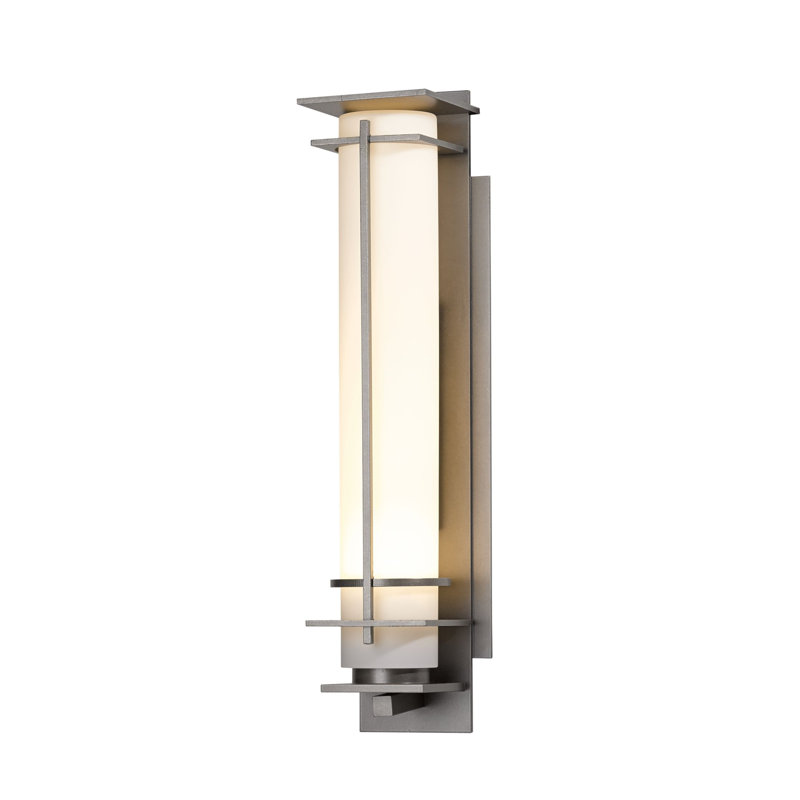 After Hours Outdoor Flush Mount, 20" H x 5" W x 5" D, Coastal Burnished Steel