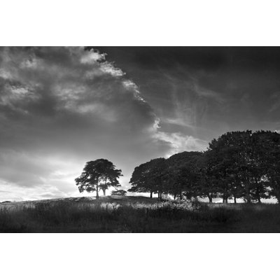 Touched by Sunlight 1 Piece Wrapped Canvas Wall Art