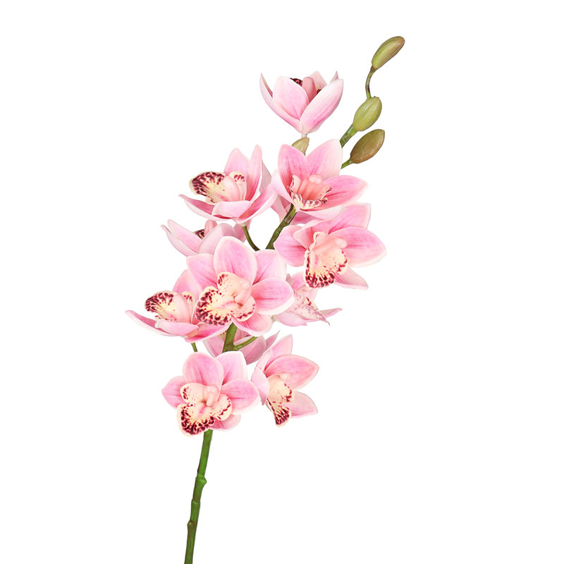 Tiges d'orchidées, Rose