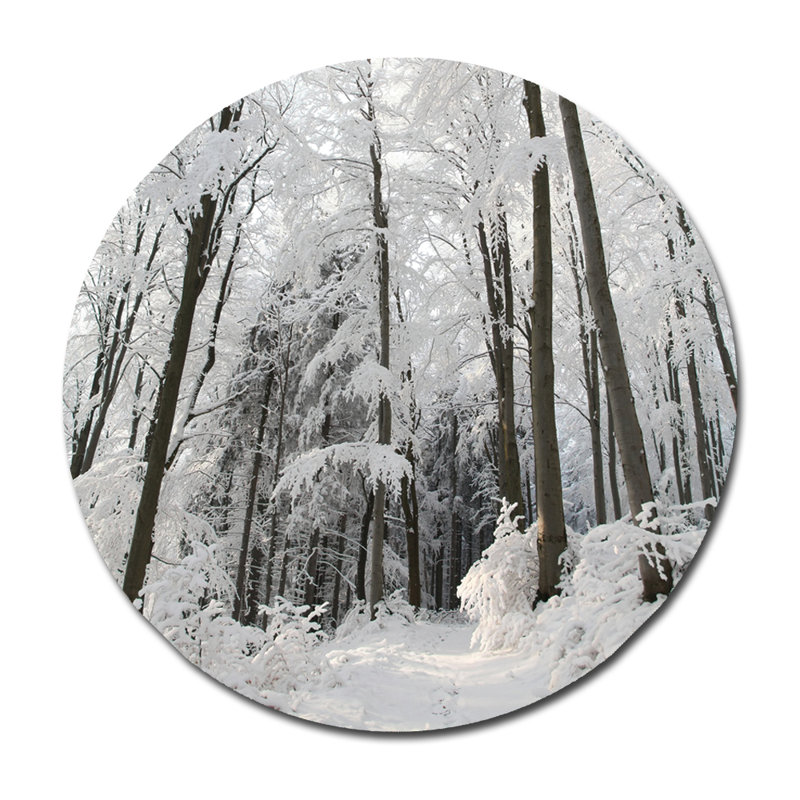 Snowy Path Print, 46" H x 46" W x 2.5" D