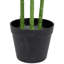 40" Potted Two Tone Green Artificial Tropical Mini Palm Tree