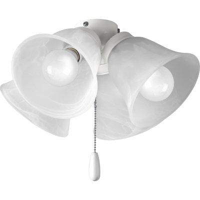 4-Light Universal Ceiling Fan Branched Light Kit