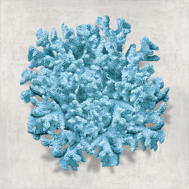 Coral Aqua II by Caroline Kelly - Wrapped Canvas Print, 30cm H x 30cm W