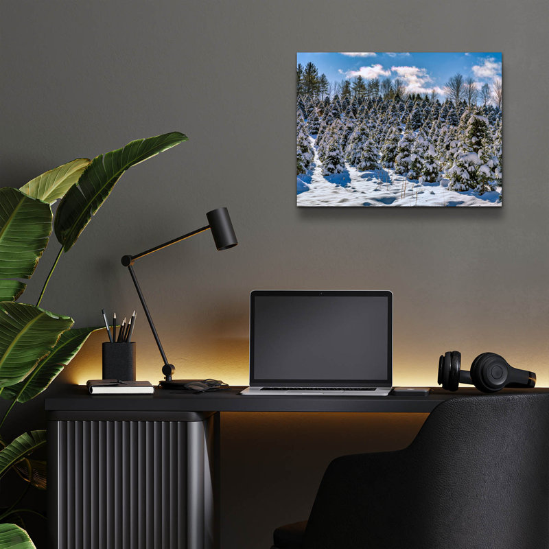 Art mural en verre Latitude Run «Snow On The Evergreen» par Rick Berk, H 12 po x l 16 po x P 0,13 cm