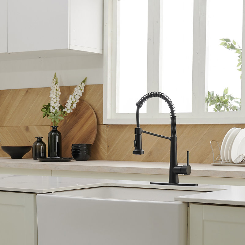 Pull Down Single Handle Kitchen Faucet with Accessories