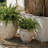 Ramsey Planter Pot-97164732-97164731