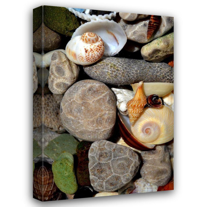 Reproduction d'art sur toile Beachcrest Home ™, Calkins, Michelle, Petoskey Stones II, H 48 po x l 33 po